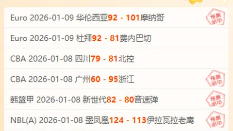 《重磅揭秘！上海申花豪掷180万英镑，重磅引进盖伊加盟之谜》